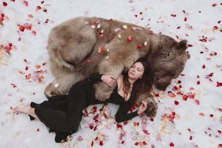 Read more about the article Grizzly Woman