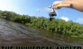 THE UNIVERSAL ANGLER: AN EARLY MORNING ROMP