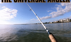 THE UNIVERSAL ANGLER: SAYING GOODBYE TO 2020