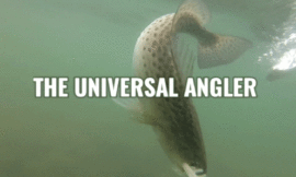 THE UNIVERSAL ANGLER: I LOST COUNT