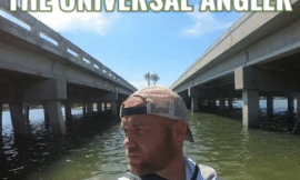 THE UNIVERSAL ANGLER: SNOOK HAVEN